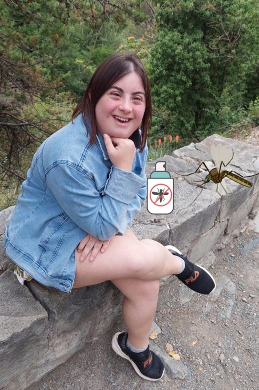 ¿Cómo ahuyentar los mosquitos? 