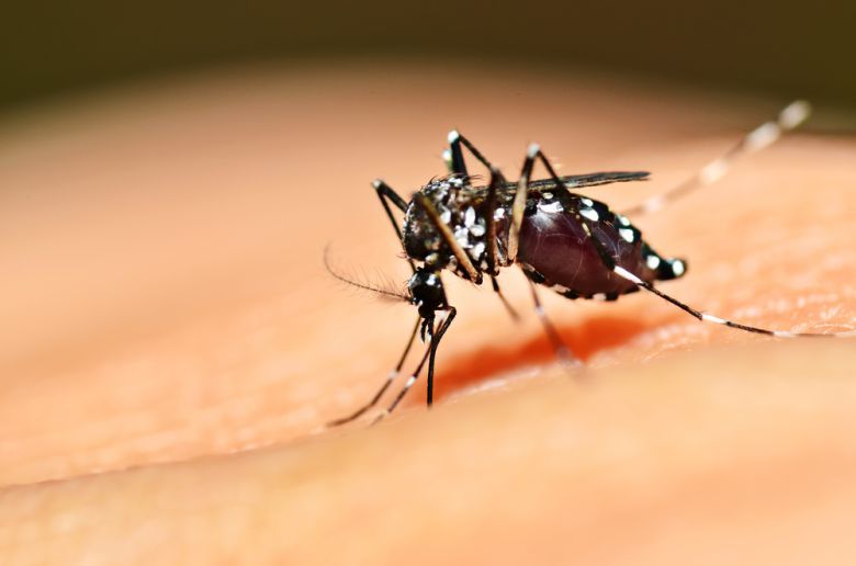 "Ha crecido de modo descontrolado esta pandemia y hay que hacer algo urgente”