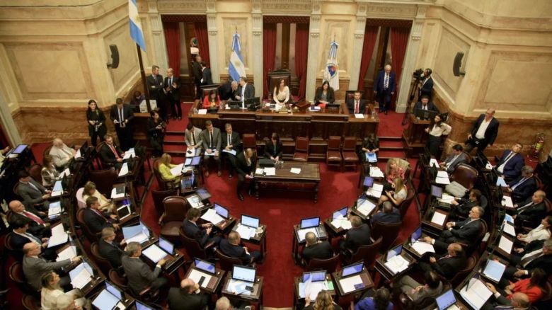 El Senado rechazó el DNU de Milei: irá a Diputados y allí se definirá su futuro