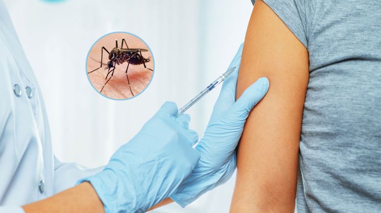 Brote del dengue: para el Gobierno no es "necesario" incorporar la vacuna ante la epidemia