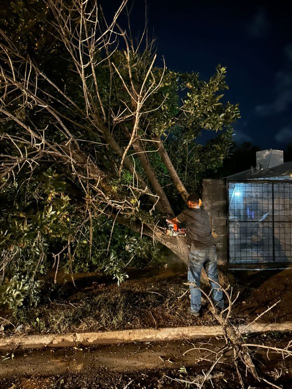Tras la tormenta, ramas caídas y cortes de energía