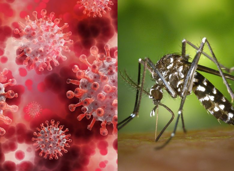 Villa María: acciones preventivas contra el dengue y coronavirus