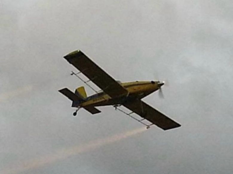 Proponen a la pulverización aérea como una opción para erradicar el mosquito