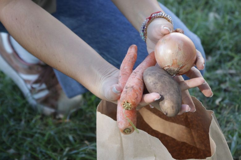 Canje saludable: 140 familias cambiaron residuos sólidos por verduras
