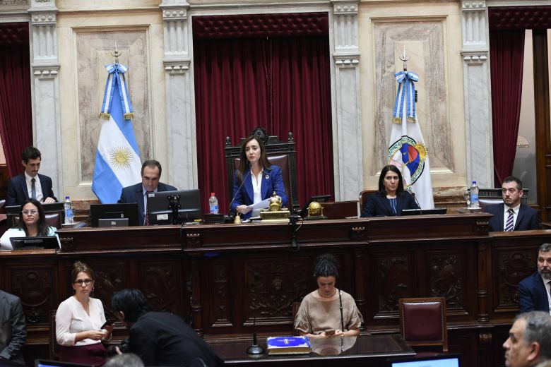 La Ley de Bases queda ahora en manos del Senado y los tiempos se acotan