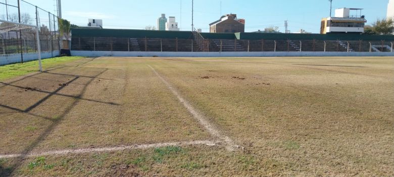 Comenzaron los trabajos de resiembra en Plaza Manuel Anselmo Ocampo