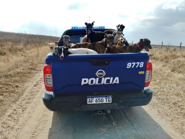 22 personas detenidas por caza ilegal con jaurías