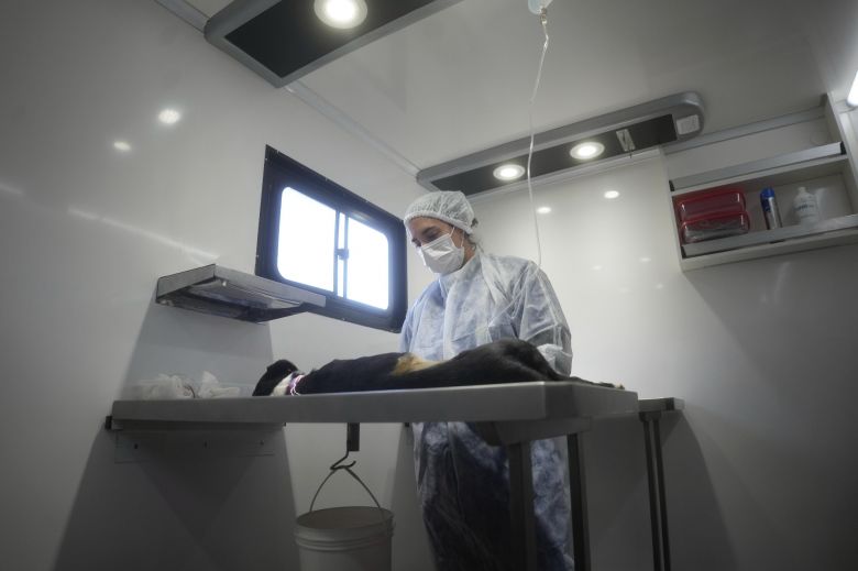 Se celebra el Día Nacional del Ingeniero Agrónomo y del Médico Veterinario