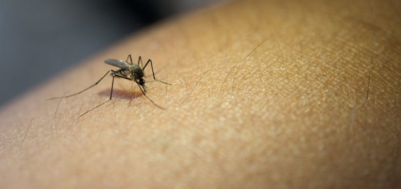 Llaryora lanza agresiva campaña contra el dengue con vacunas y repelentes