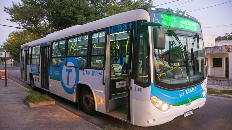 Crítica a las empresas de transporte: "Desregular no quiere decir violar normas"