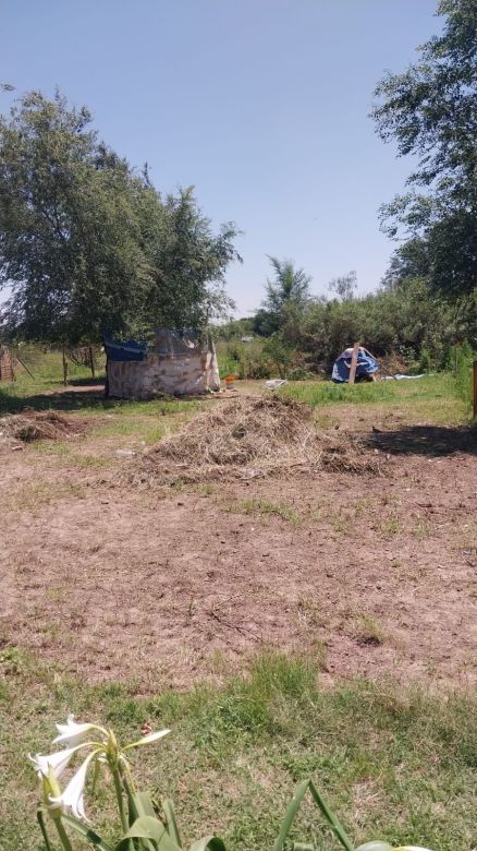 Usurpación de tierras en barrio Las Playas 