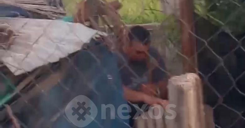 Un hombre mató a mazazos a su perro y el pueblo exige justicia