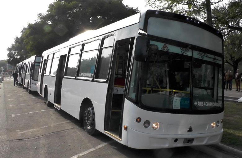 Desde febrero se restablecen los horarios del transporte público