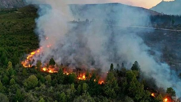 Medio Ambiente: Proponen una ley para penar el ecocidio en el país
