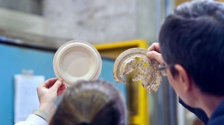 Envases de bambú, la alternativa ecológica que reemplazaría a los químicos dañinos