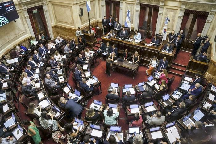 El Senado convirtió en ley la suspensión de las PASO