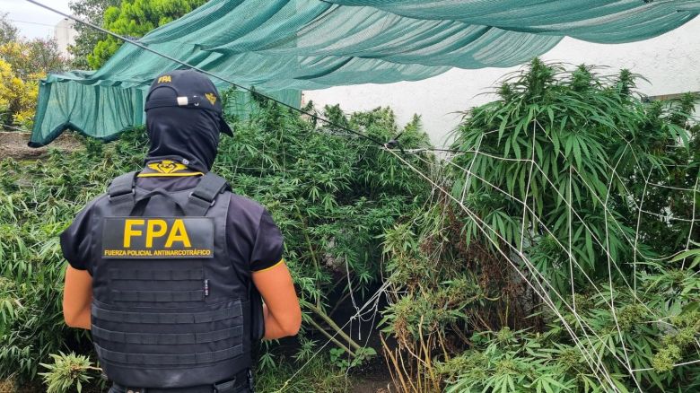 Incautaron más de 7 mil dosis de estupefacientes en Villa María 