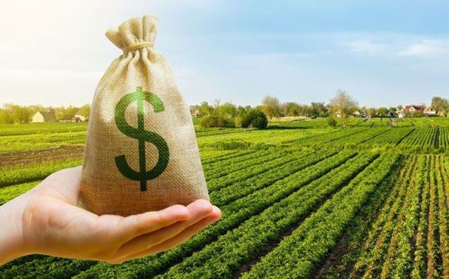 El Estado Nacional se queda con $58 de cada $100 de la renta agrícola