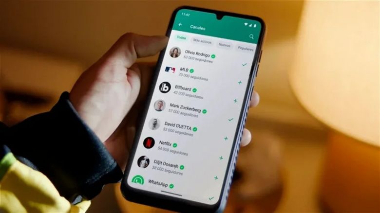 Nueva función de WhatsApp alertó a los usuarios creyendo que era posible estafa