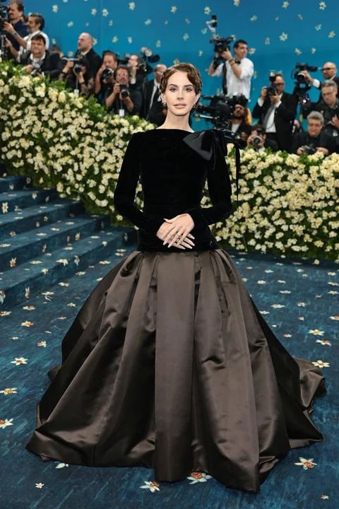 Las celebridades que brillaron en la Met Gala 2025