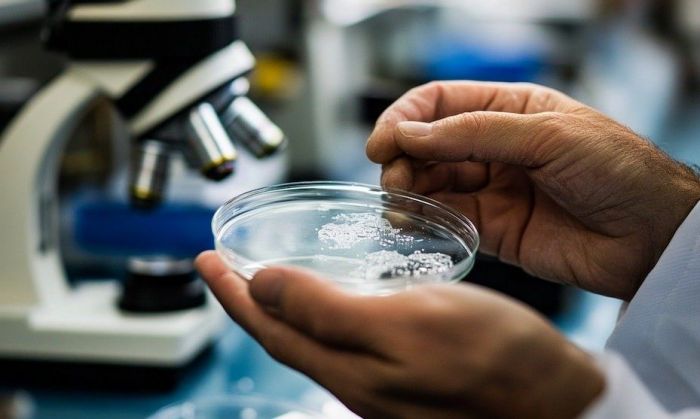 Científicos argentinos descubrieron un nuevo circuito molecular que sería clave para frenar el crecimiento de los tumores