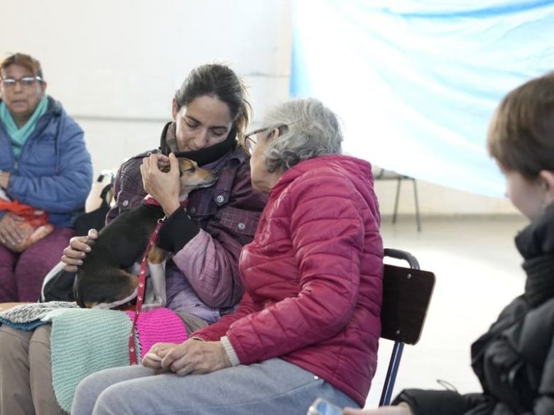 Campaña de castración: el municipio continúa con el servicio descentralizado