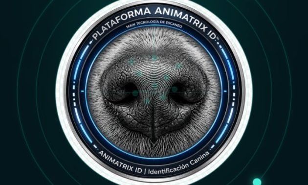Desarrollan en Serrano una aplicaci&oacute;n para identidad y trazabilidad sanitaria de perros y gatos